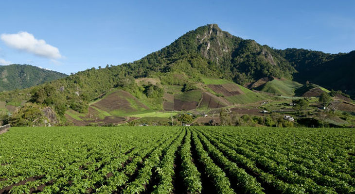 cerro-punta