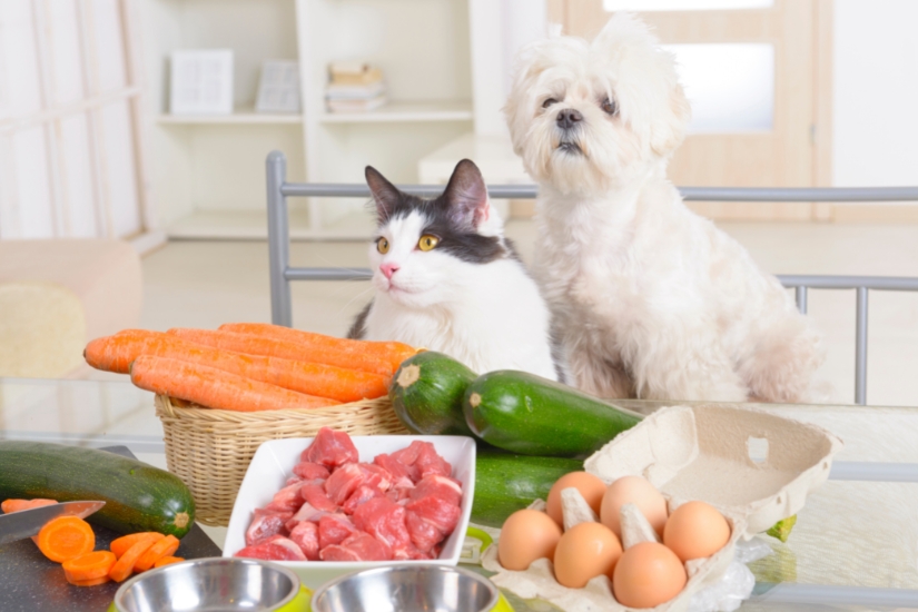 los-mejores-alimentos-para-mantener-a-tu-mascota-saludable-y-fuerte